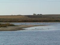 101_0157.jpg Image