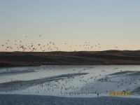 IMG_0270a.jpg Image