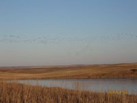 IMG_0273a.jpg Image