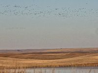 IMG_0273aaa.jpg Image