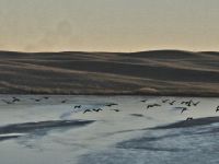 IMG_0277aa.jpg Image