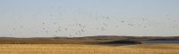 nd_trip_028.jpg Image