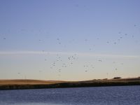 ndtrip033.jpg Image