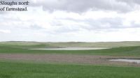 north_sloughs.jpg Image