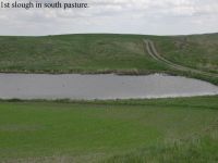 south_pasture_across_from_Jasper_Lake.jpg Image