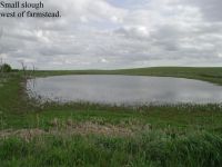 west_slough.jpg Image