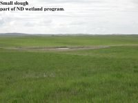 wetland_program_slough.jpg Image