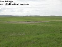 Small slough - part of ND wetland program Image